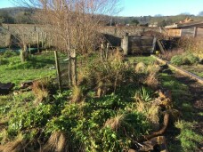 hugel mound 1 1024x768